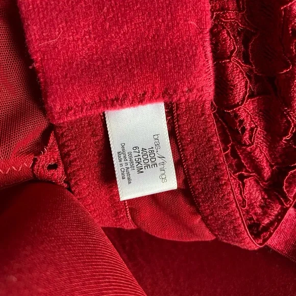 BRAS N THINGS - PLUS LACE BODYSUIT - Picture 5 of 5